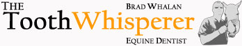 The Tooth Whisperer Brad Whalan Sydney Equine Dentist - Logo